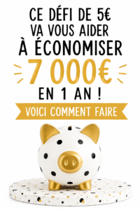 Femme souriante tenant un carnet de budget avec un symbole dollar, illustrant le défi d'épargne.