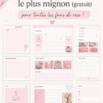 Photo d'un modèle Notion au design élégant et rose, illustrant son esthétique douce et féminine.