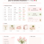 Femme utilisant Notion pour organiser sa semaine d'examens sur son ordinateur.