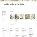 Un aperçu de modèles Notion affichés à l'écran, montrant une interface claire et organisée.