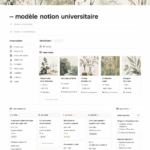 Un aperçu de modèles Notion affichés à l'écran, montrant une interface claire et organisée.
