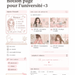 Capture d'écran d'une page Notion personnalisée pour les études universitaires