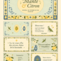 Modèle Mantis sur Canva pour une présentation professionnelle
