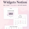 Capture d'écran d'un espace de travail Notion avec des widgets esthétiques