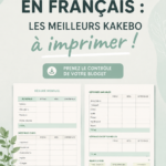 Modèle de kakebo à imprimer pour la gestion des finances personnelles.