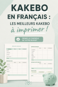 Modèle de kakebo à imprimer pour la gestion des finances personnelles.