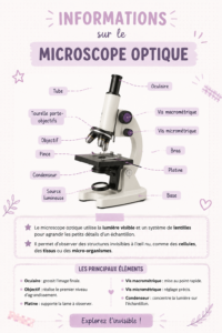 Photographie d'un microscope optique sur un bureau d'études, prêt à être utilisé.