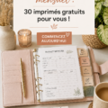 Image de modèles de budget mensuel imprimables, montrant des designs colorés et organisés