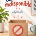 Femme regardant des alternatives créatives sur Etsy avec un ordinateur à la maison - Défis d'épargne.