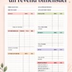 Femme examinant son budget bihebdomadaire avec un ordinateur et un carnet.