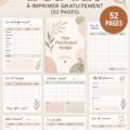 Image d'un planner de budget imprimable avec des sections pour dépenses et économies.