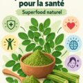 Poudre de moringa sur une cuillère, symbole de santé et vitalité.
